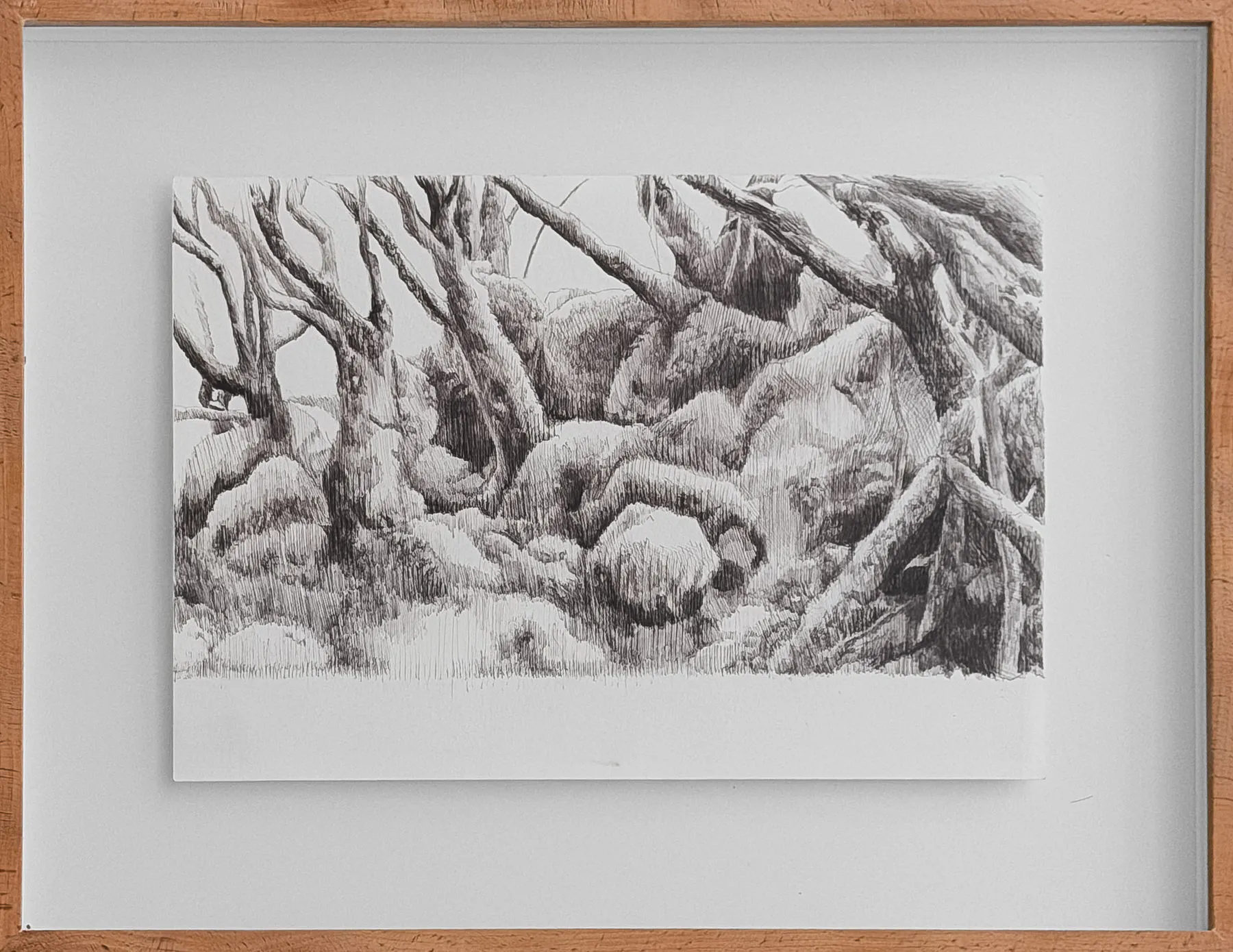 Untitled (304-25), Stefanie Pullin, 2026, Graphite on paper