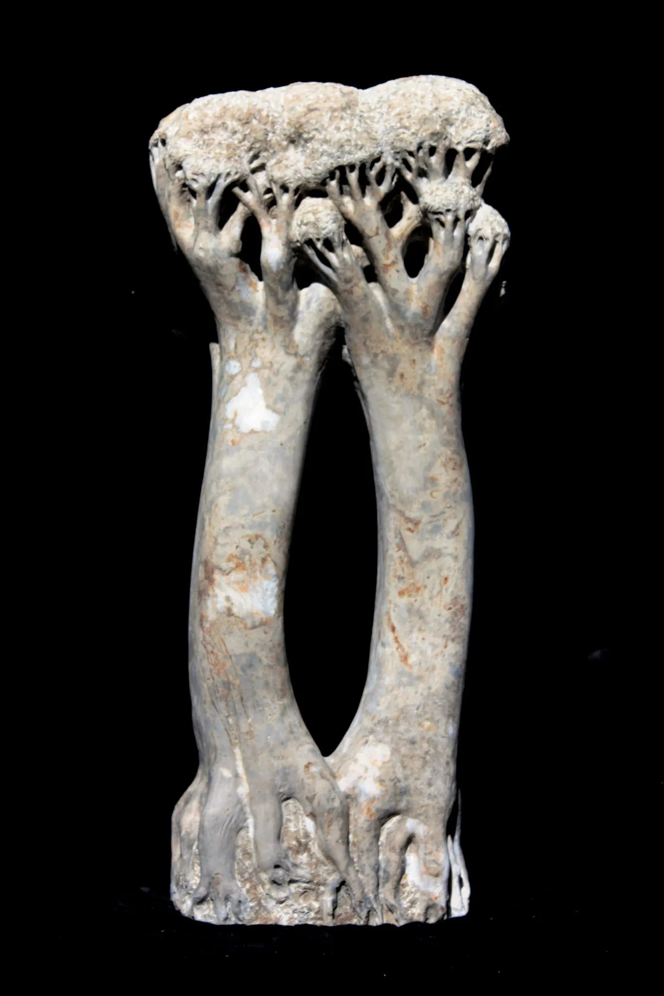 Árvores abraçadas, Vítor Ribeiro, 2019, Santo António breccia