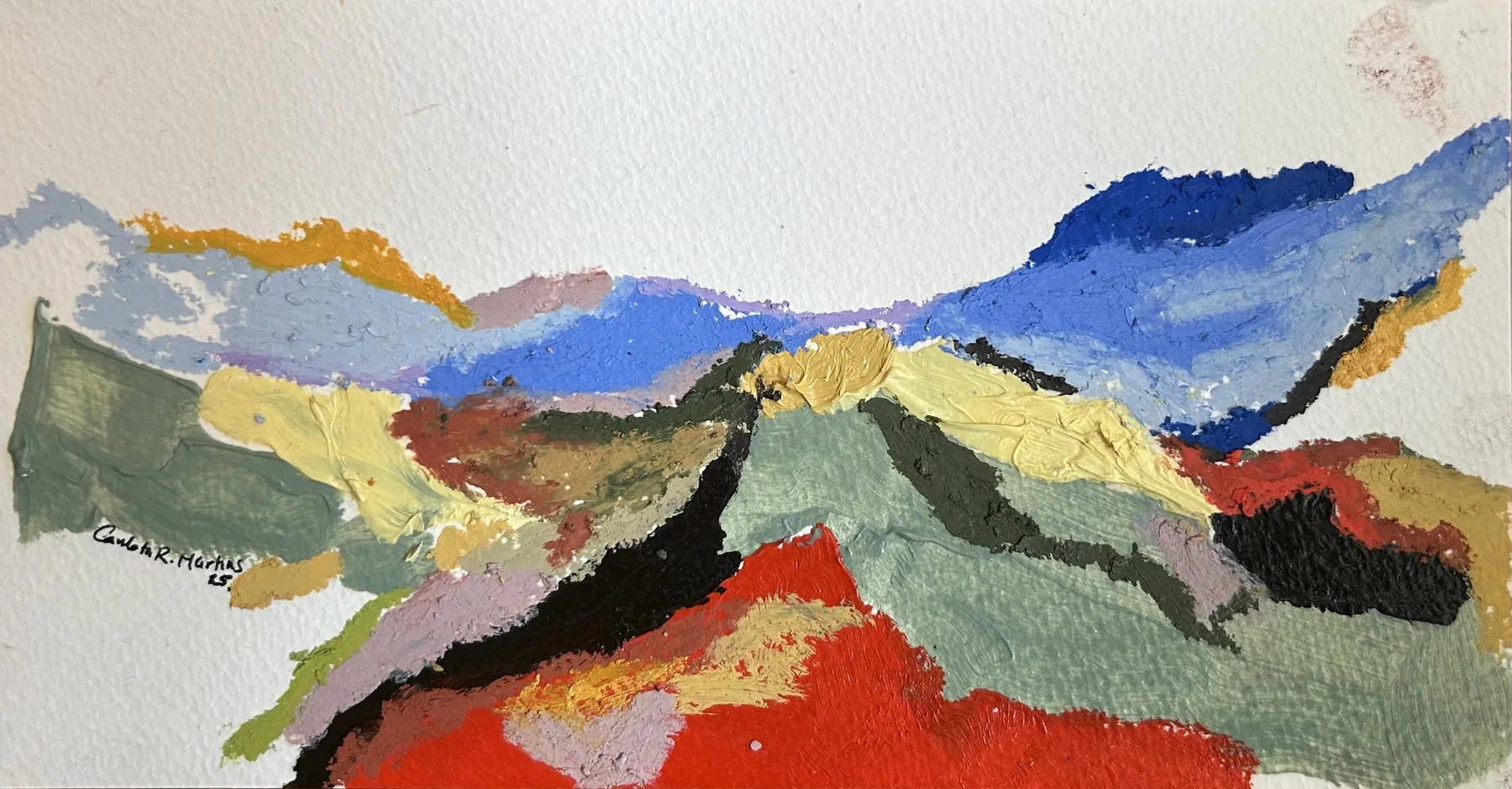 Untitled (293-24), Carlota Roque Martins, 2026, Mixed media on paper