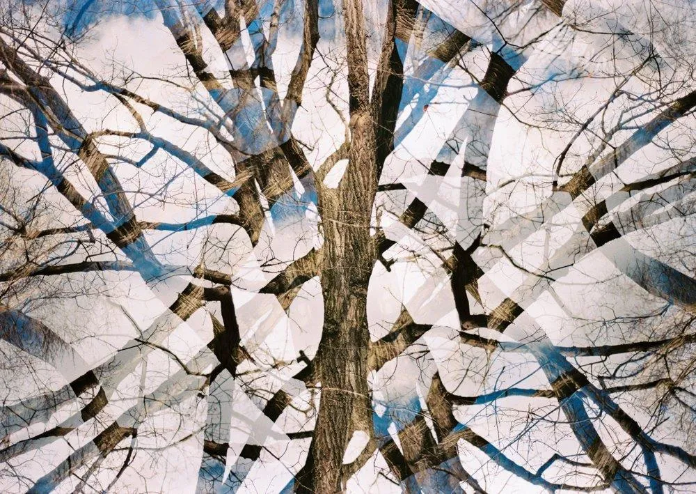 New York IV, Francisco Pereira Coutinho (neto), 2022, Photograph on Diasec face