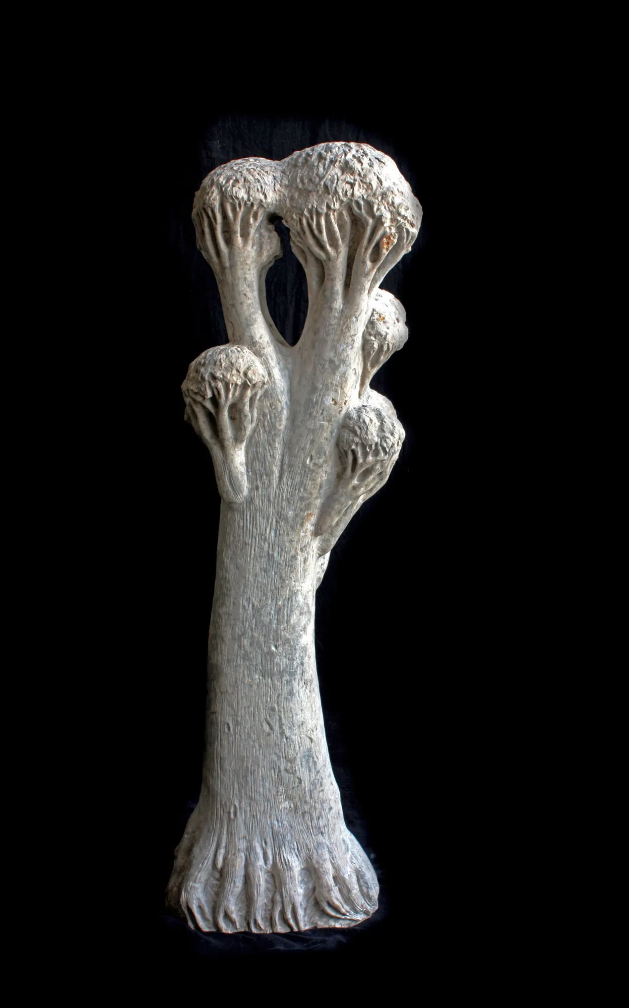 Árvore da harmonia, Vítor Ribeiro, 2022, Santo António breccia