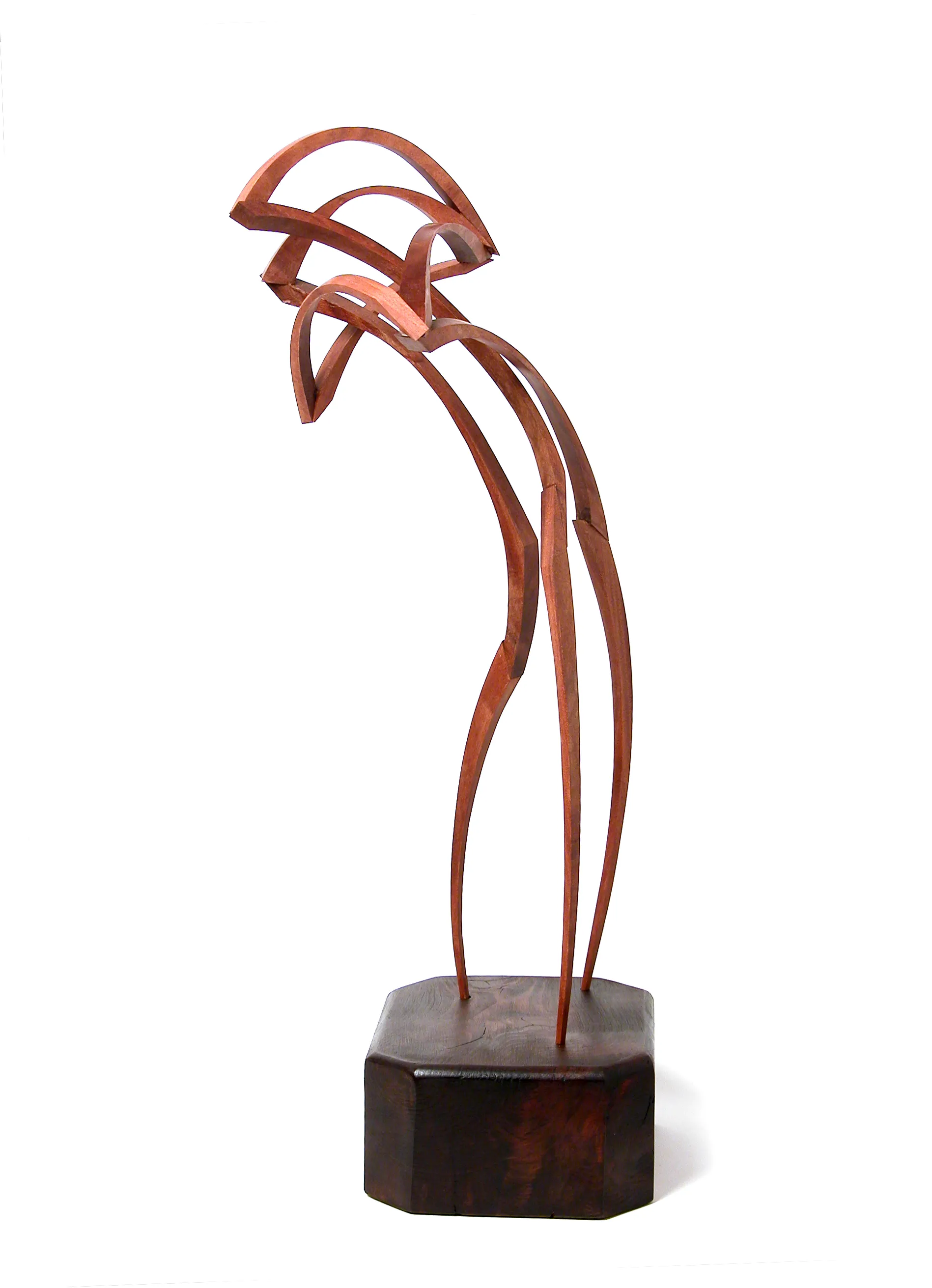 Raíces V, Mar Solís, 2010