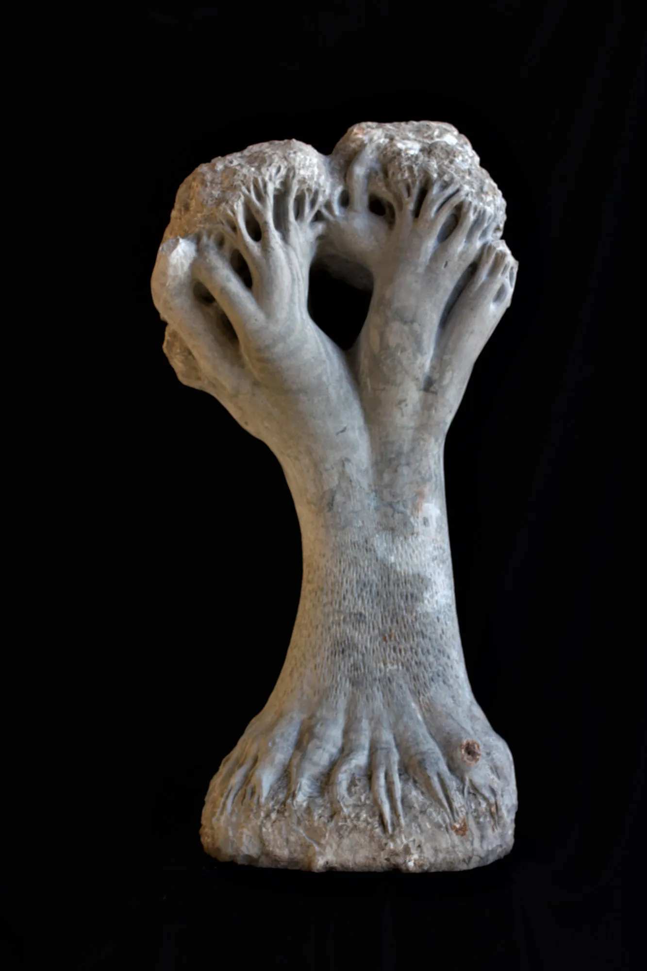 Árvore da Vida, Vítor Ribeiro, 2016, Santo António breccia