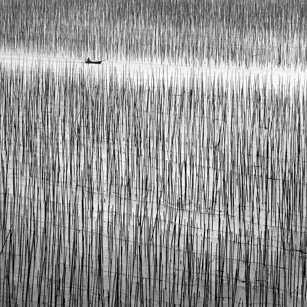 Lost in Abstraction #2, Alexandre Manuel, 2017, Photograph on Diasec face