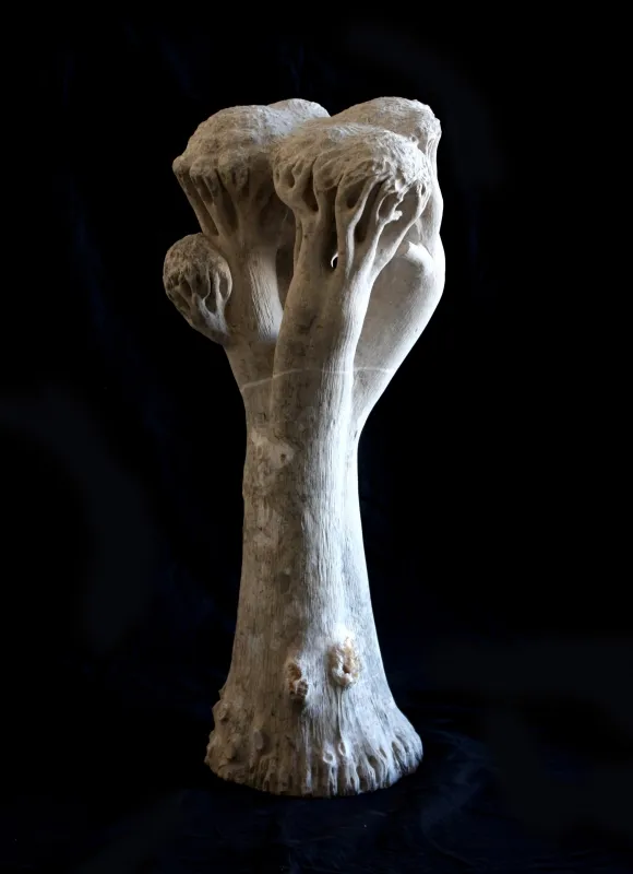 Árvore de Luz, Vítor Ribeiro, 2021, Santo António breccia
