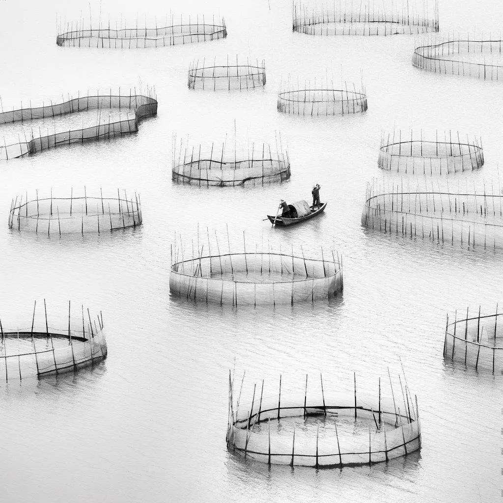 Lost in Abstraction III, Alexandre Manuel, 2019, Photograph on Diasec