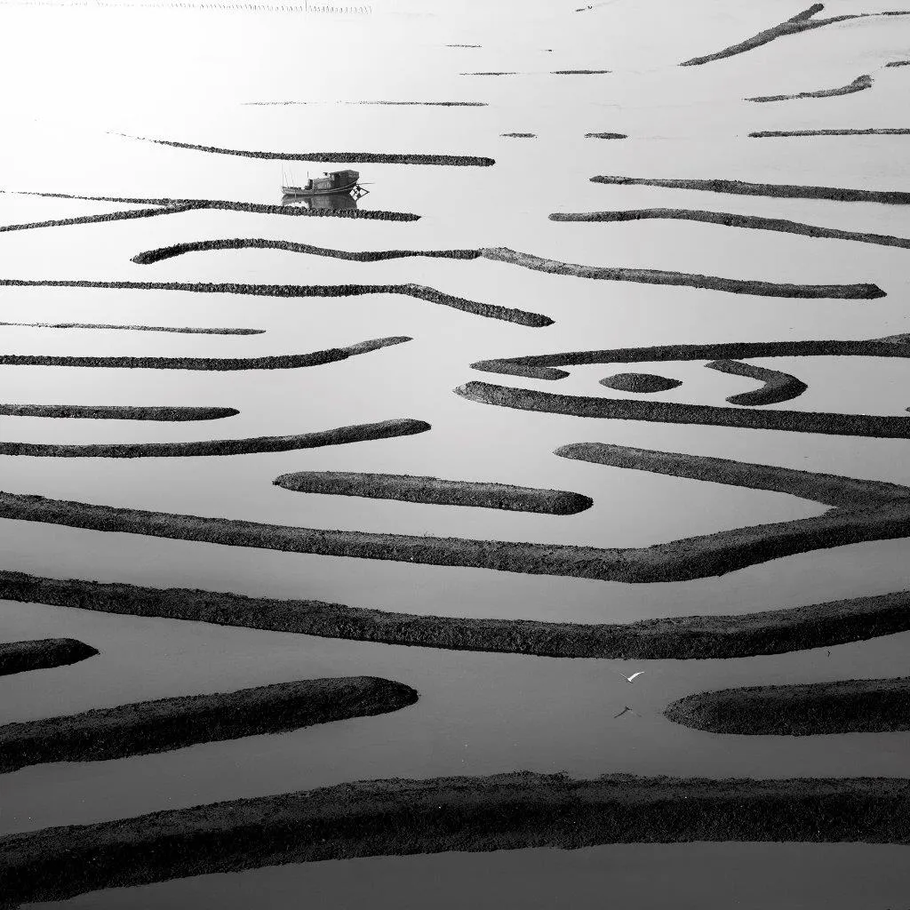 Meandro, Alexandre Manuel, 2017, Photograph on Diasec face