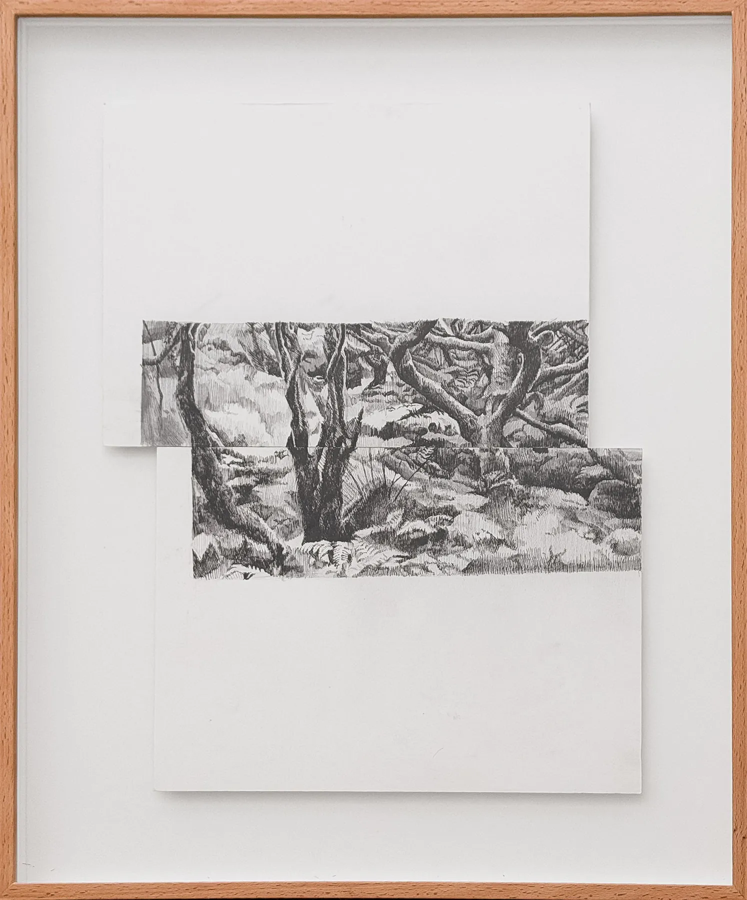 Untitled (304-22), Stefanie Pullin, 2026, Graphite on paper