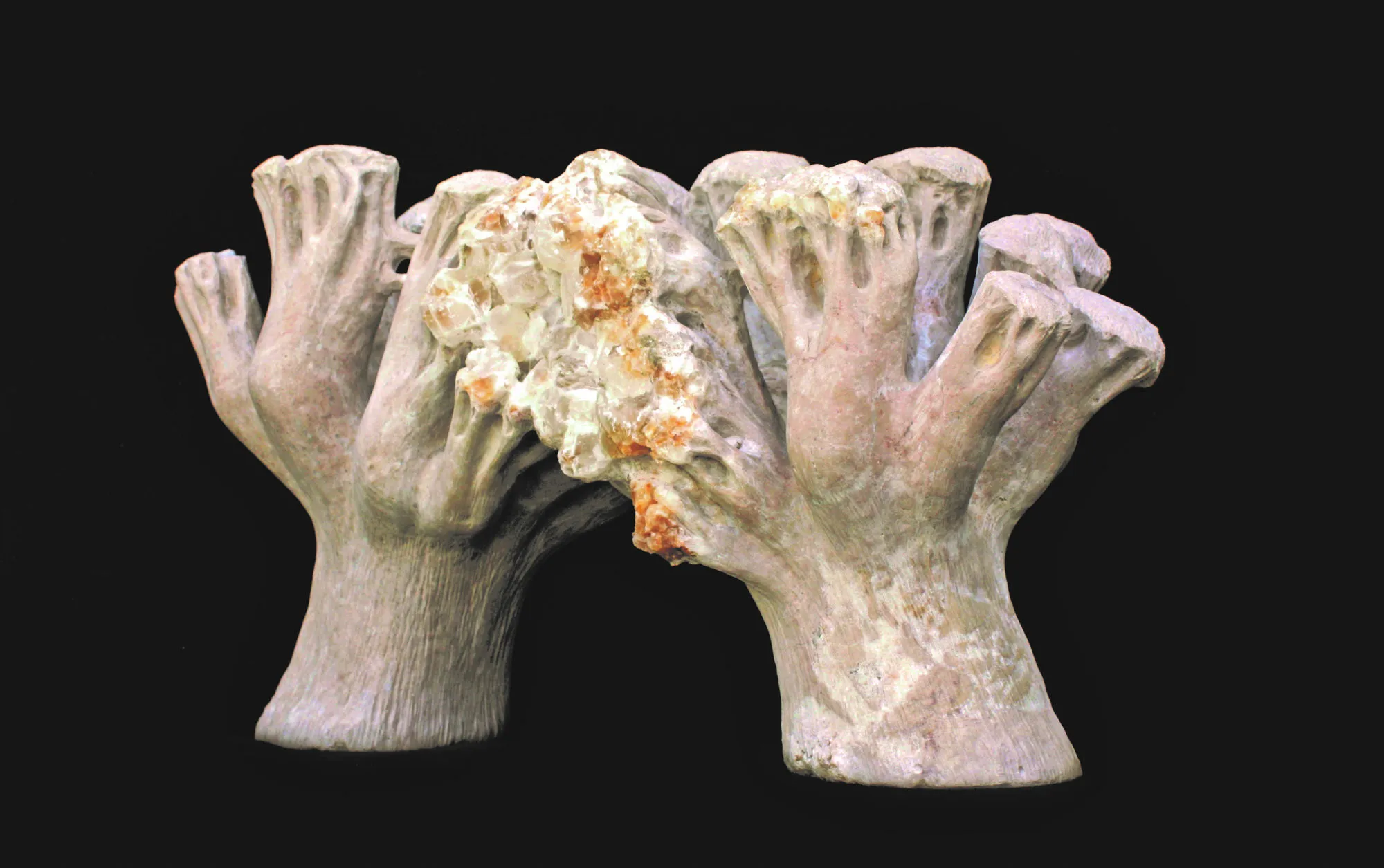 O que resta da floresta I, Vítor Ribeiro, 2019, Santo António breccia