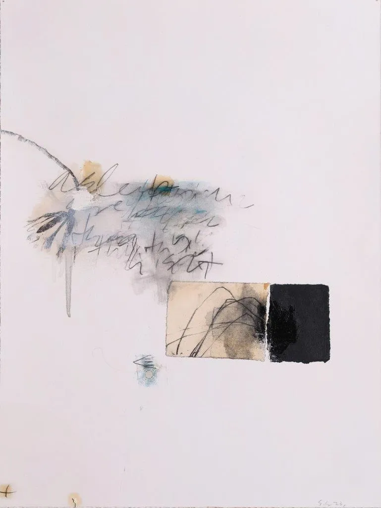 Asleep, Steven Seinberg, 2023, Mixed media on paper