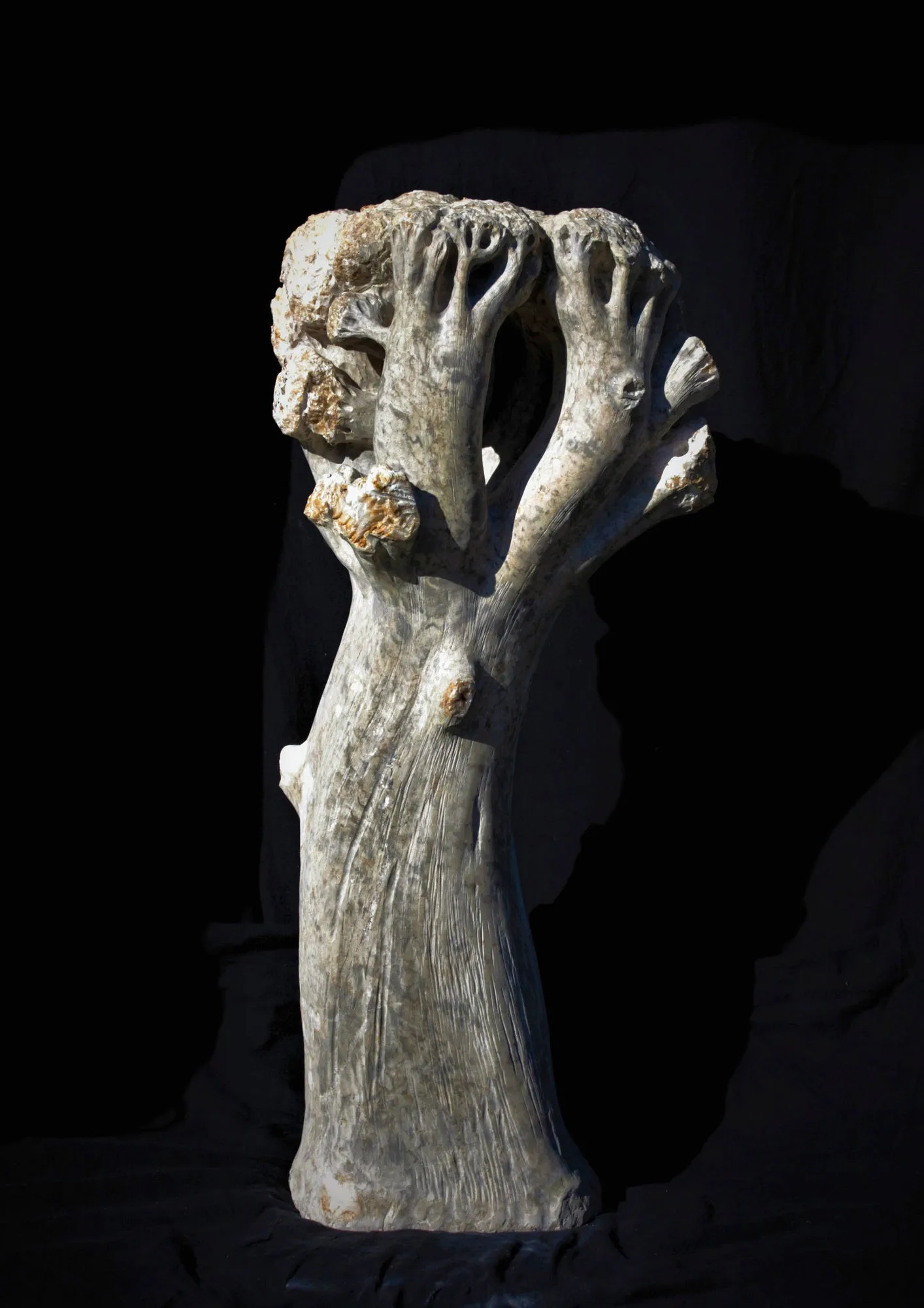 Da Floresta, Vítor Ribeiro, 2019, Santo António breccia