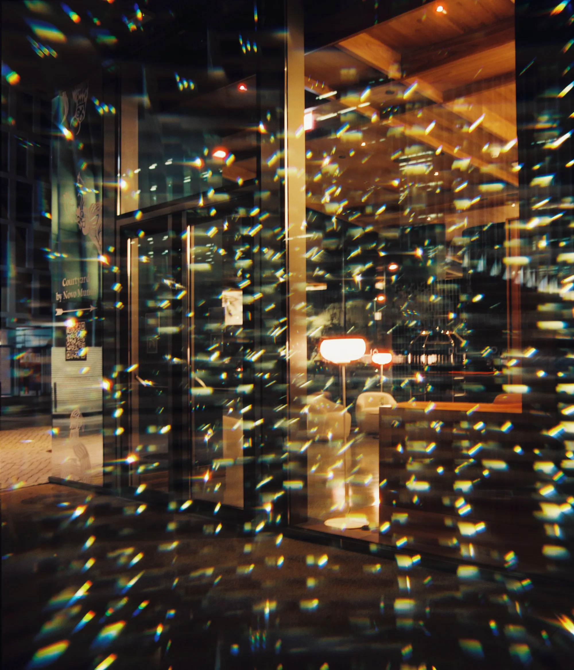 Nighthawk, Francisco Pereira Coutinho (neto), 2026, Analogue photograph on Diasec face
