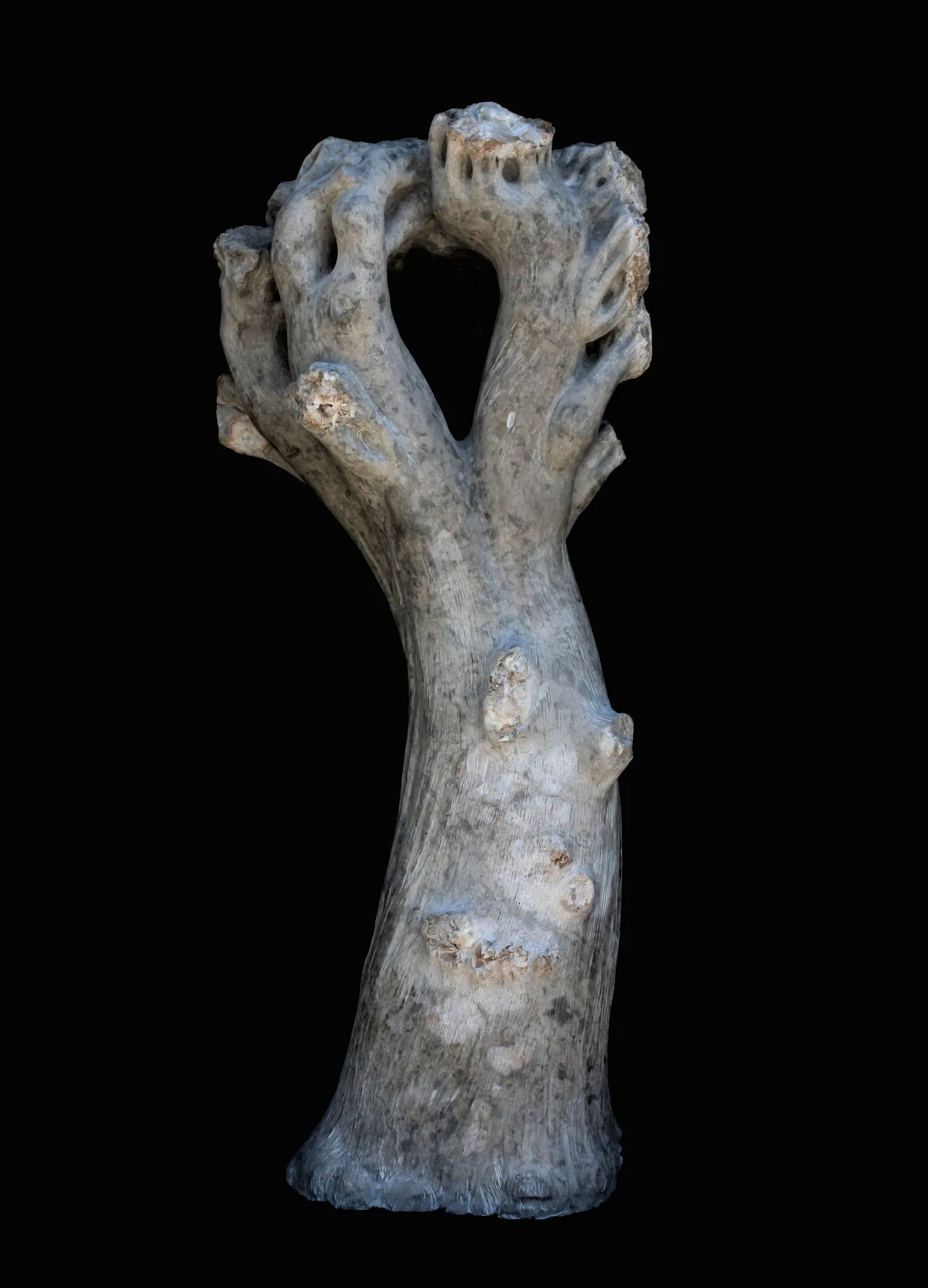 Da Floresta, Vítor Ribeiro, 2019, Santo António breccia