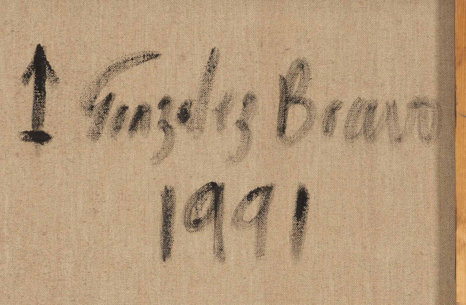 Untitled (La Piel del Lienzo), González Bravo, 1991