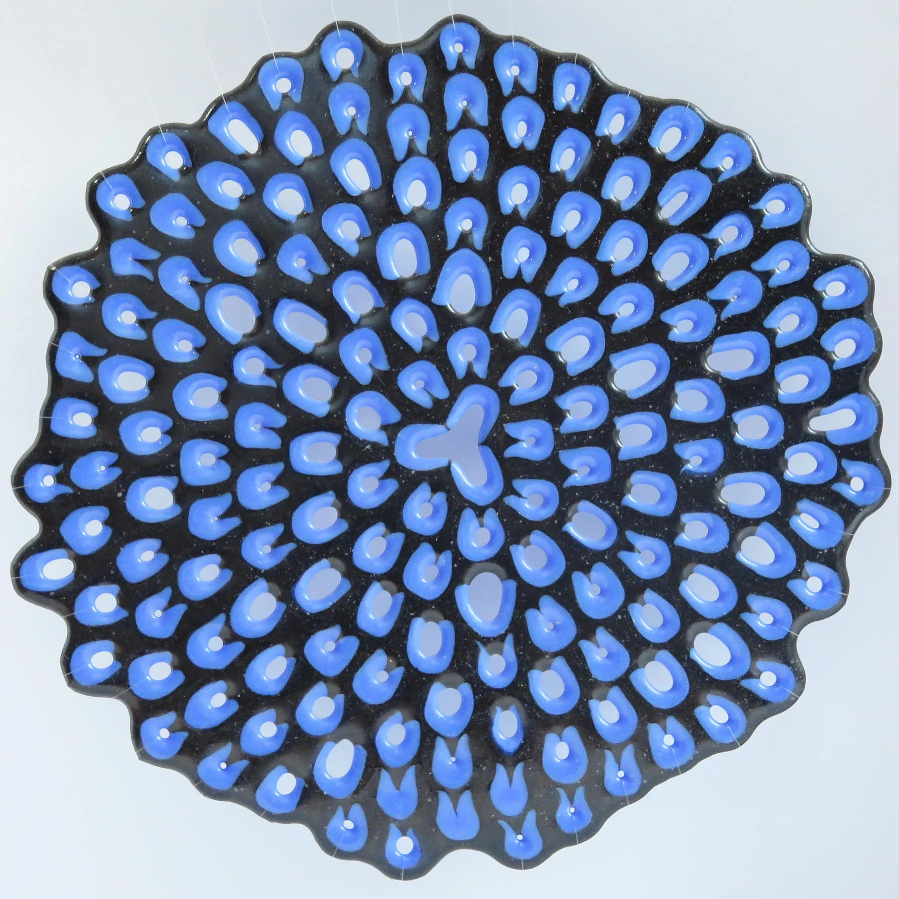 Rosácea XV, Manuela Castro Martins, 2015, Cast glass, wood and nylon thread