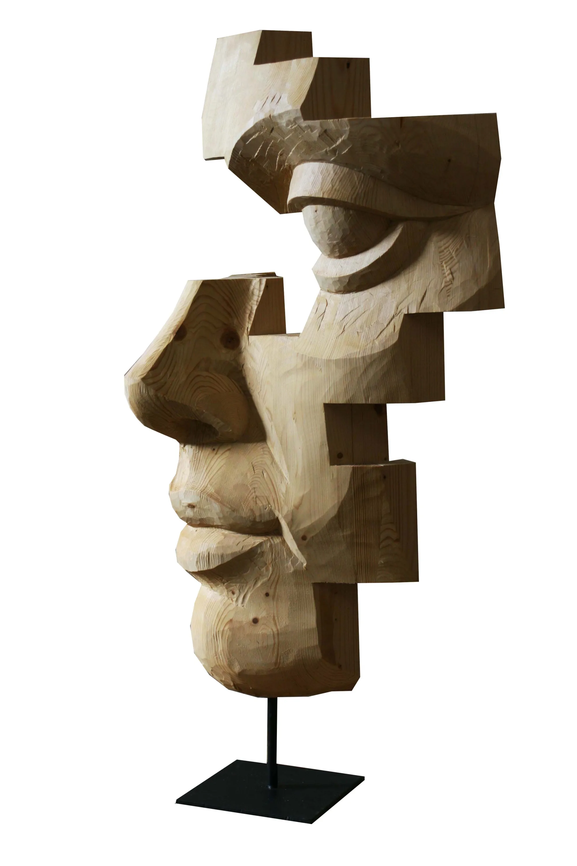 Figura desconstruída, Nogueira Lopes, 2017, Wood