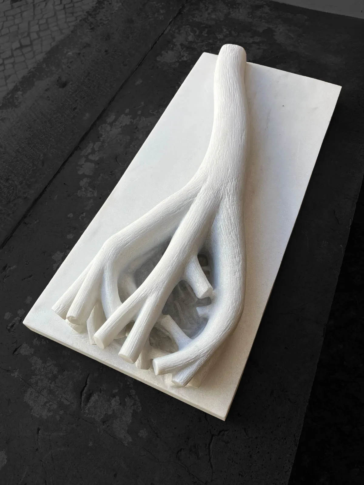 Ramo de Árvore, Vítor Ribeiro, 2026, White marble