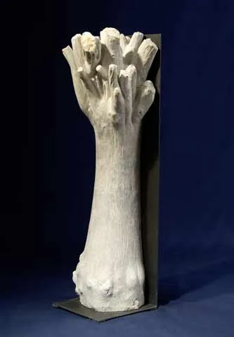 Árvore das margens, Vítor Ribeiro, 2007, Santo António breccia and iron