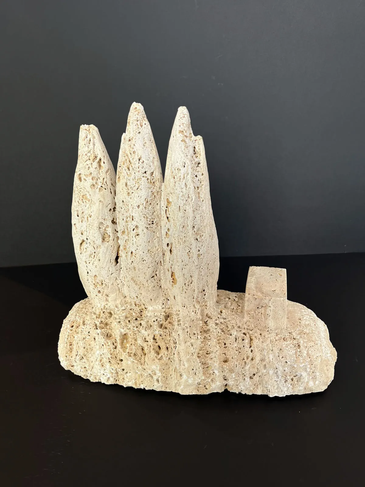 Ciprestes, Vítor Ribeiro, 2026