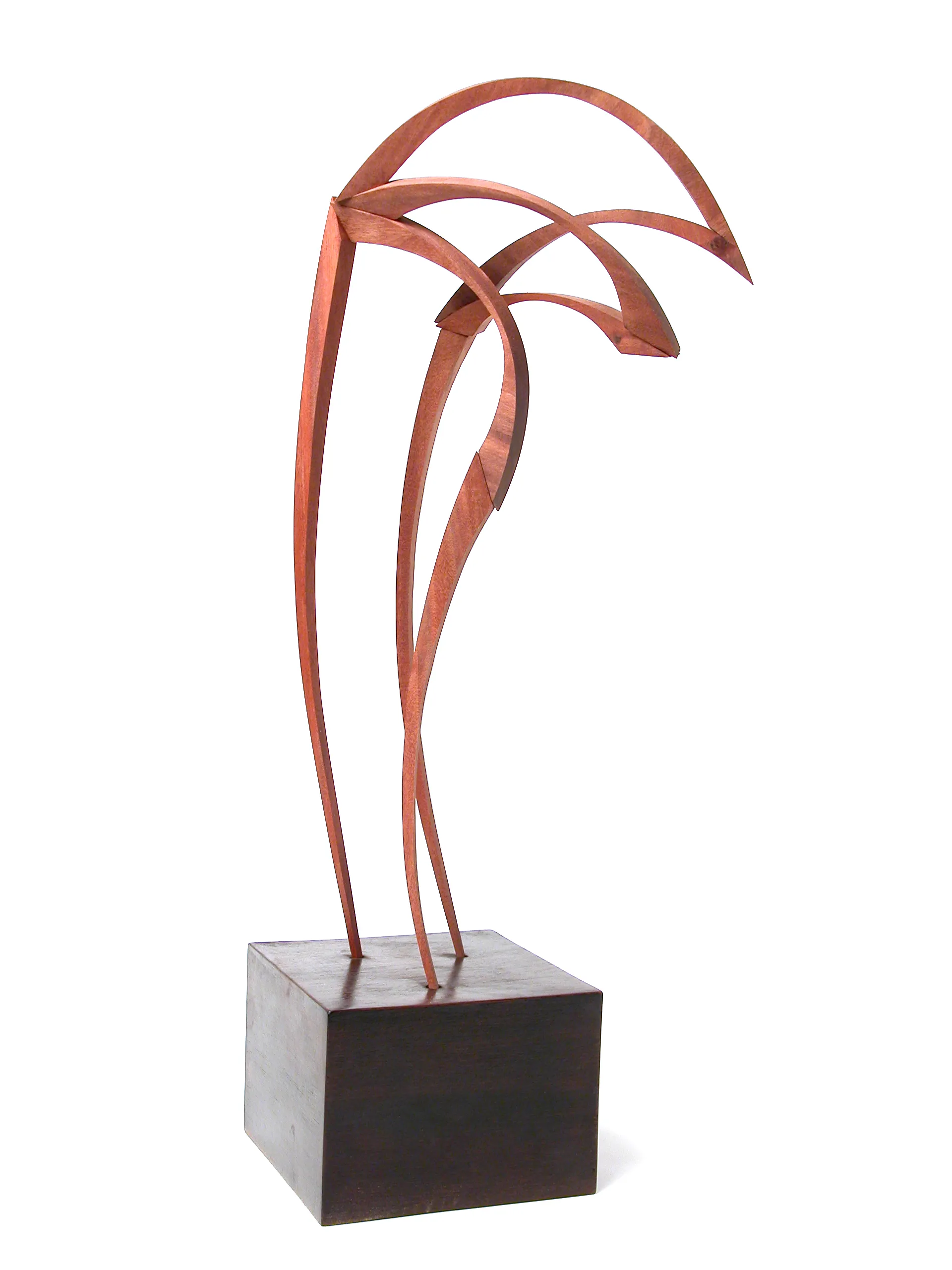 Raíces II, Mar Solís, 2010