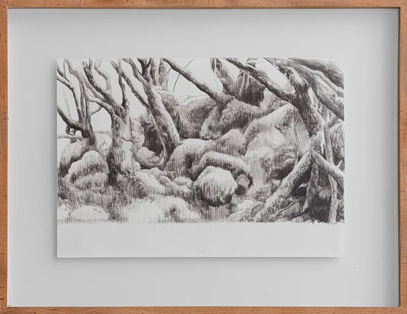 Untitled (304-25), Stefanie Pullin, 2026, Graphite on paper