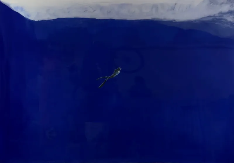 Big Blue, Jorge Hernández, 2024, Mixed media on wood