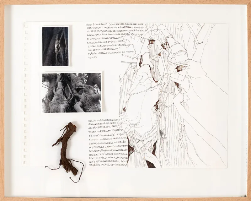 Untitled (304-20), Stefanie Pullin, 2026, Mixed media on paper