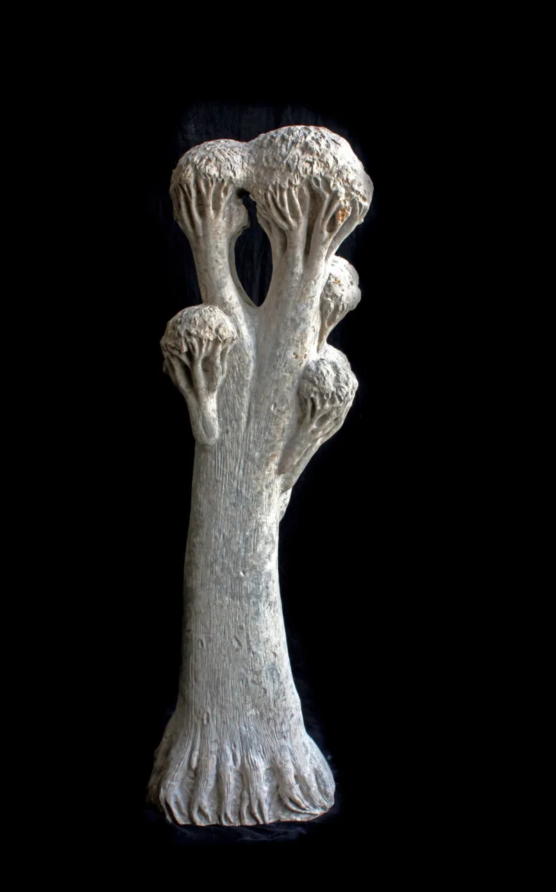 Árvore da harmonia, Vítor Ribeiro, 2022, Santo António breccia