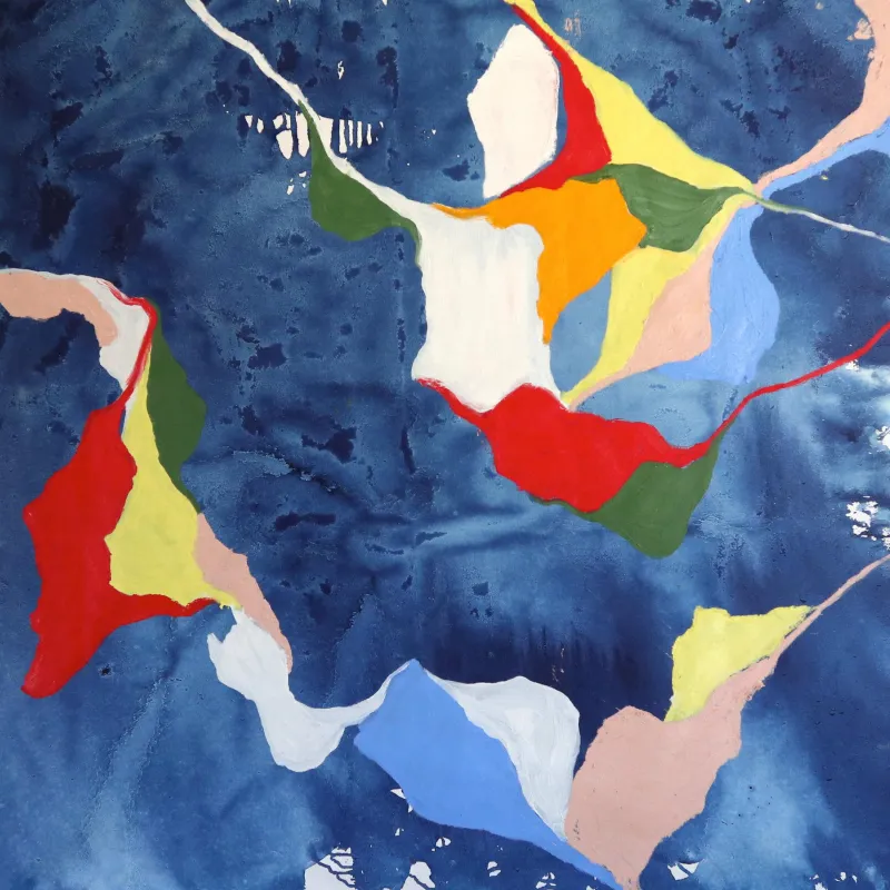 Untitled - série Mapas 19, Carlota Roque Martins, 2020, Oil on canvas