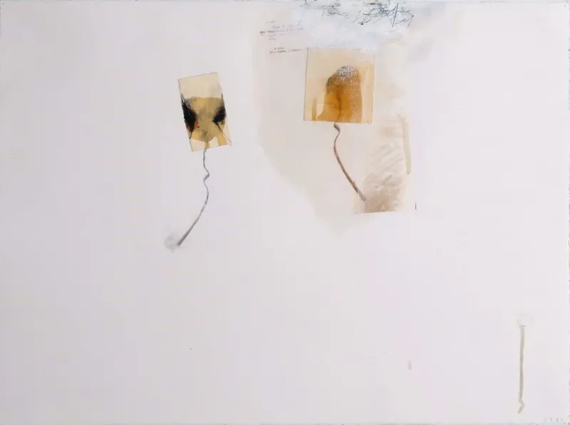 Perfect their Seeds II, Steven Seinberg, 2023, Mixed media on paper